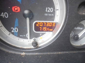  31
